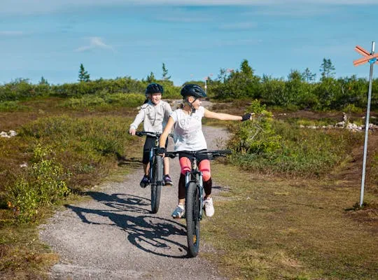Billedet viser to børn, der cykler i fjeldene.