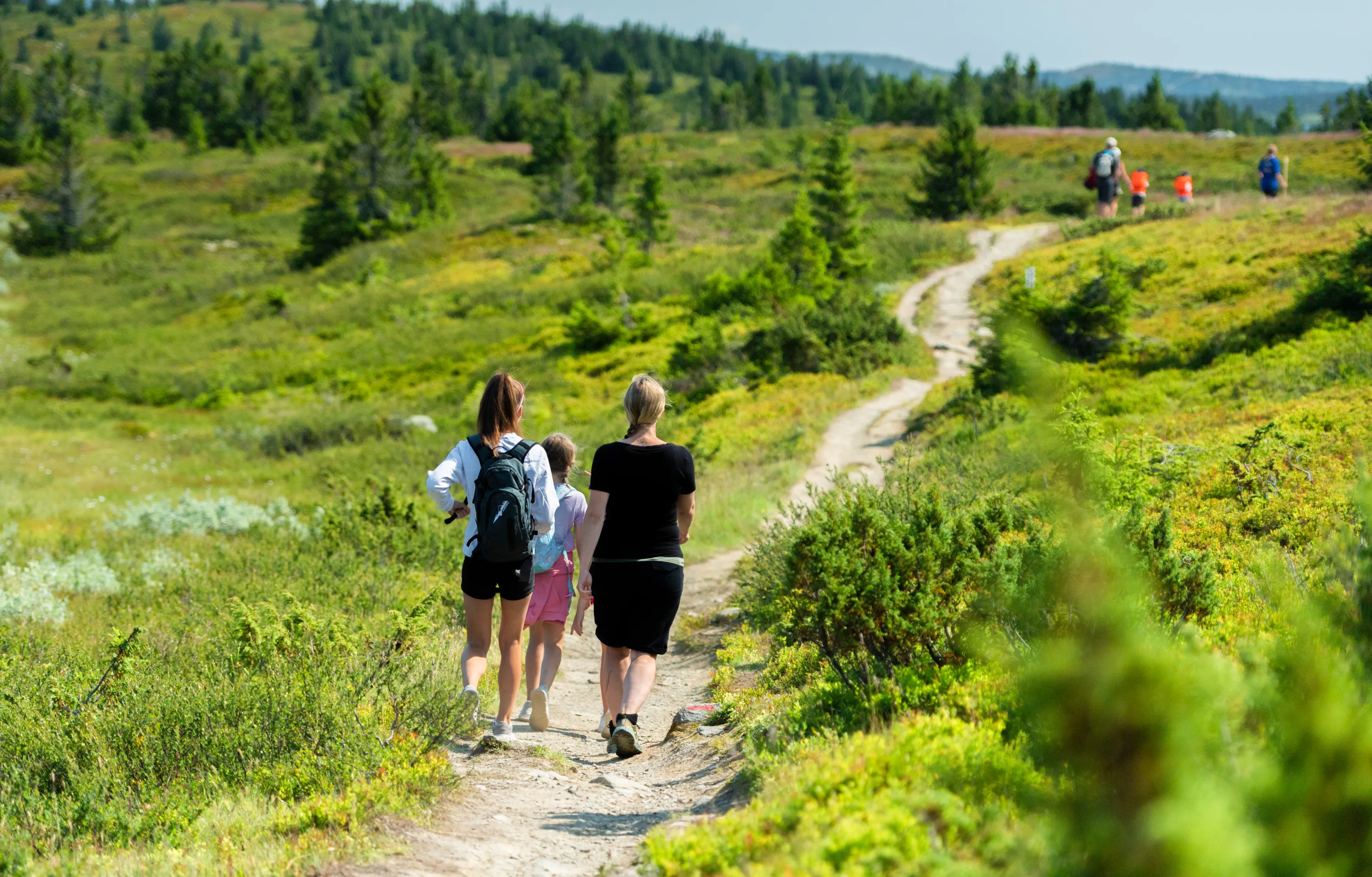 Billedet viser en familie, der vandrer i Hafjell.