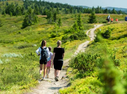 Billedet viser en familie, der vandrer i Hafjell.