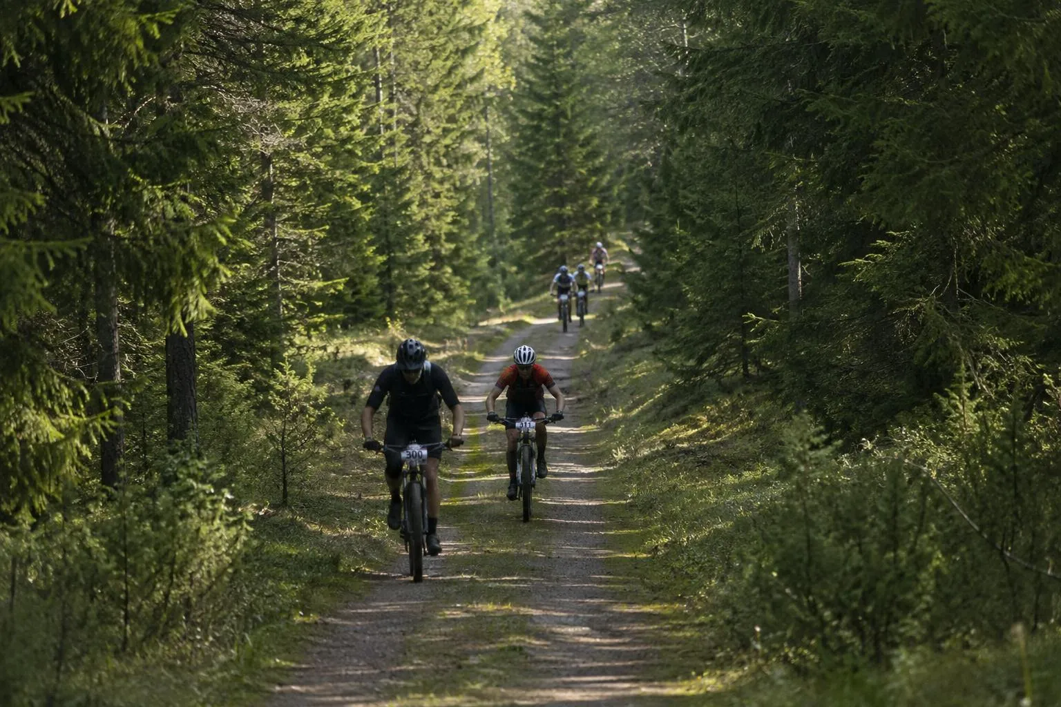 Billedet viser fire mountainbikecyklister på en skovsti